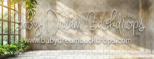 Summer Grunge Room 4 Flipped (No Plants) (WM)