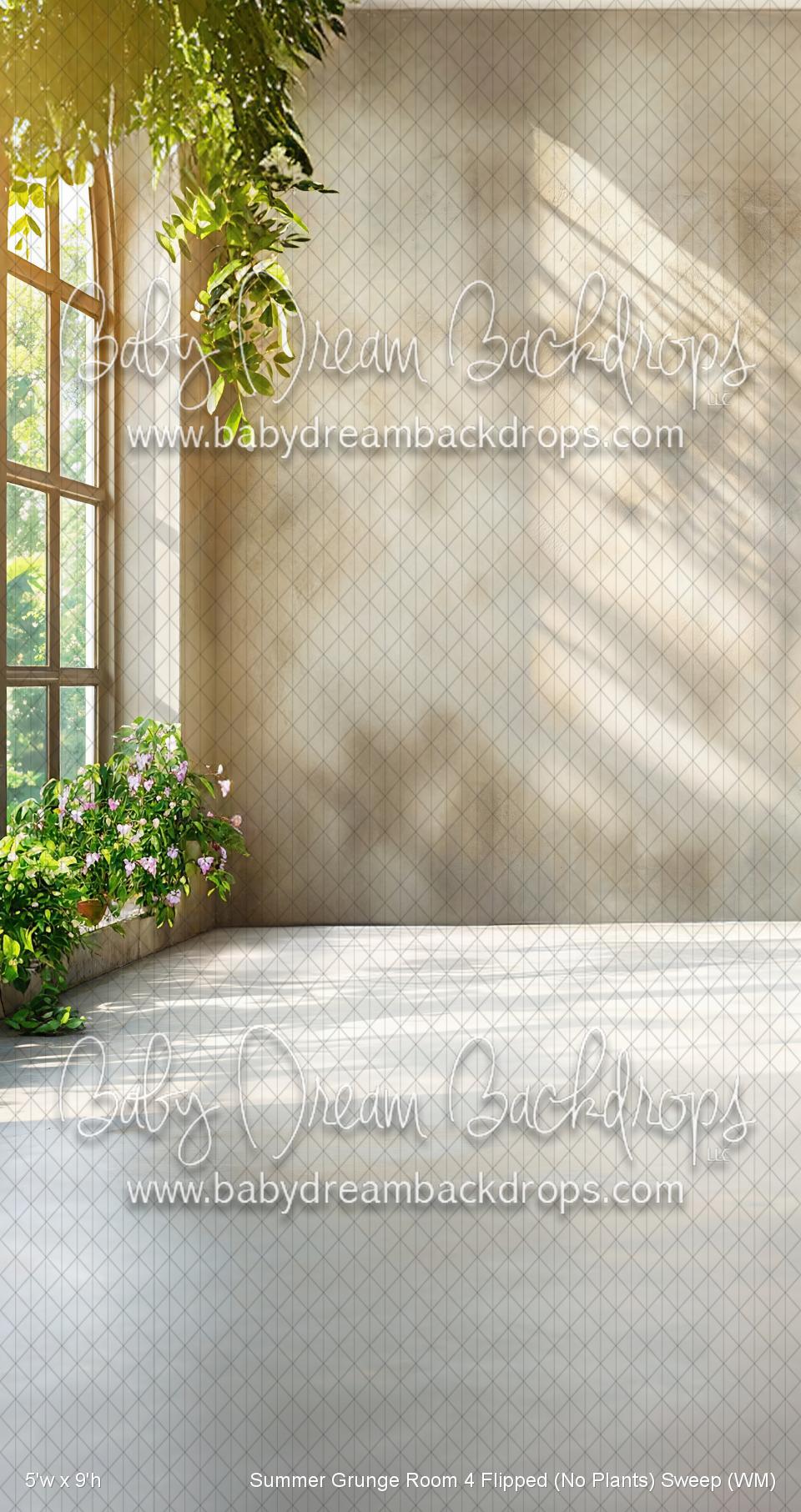Picture of Summer Grunge Room 4 Flipped (No Plants) Sweep (WM) — Baby Dream Backdrops