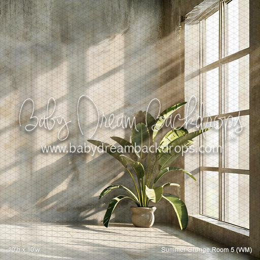 Summer Grunge Room 5 (WM)