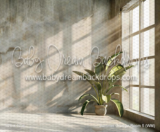 Summer Grunge Room 5 (WM)