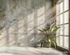 Summer Grunge Room 5 (WM)