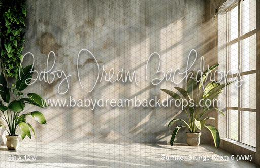 Summer Grunge Room 5 (WM)