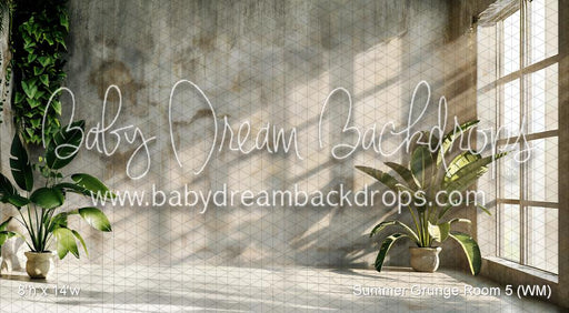 Summer Grunge Room 5 (WM)