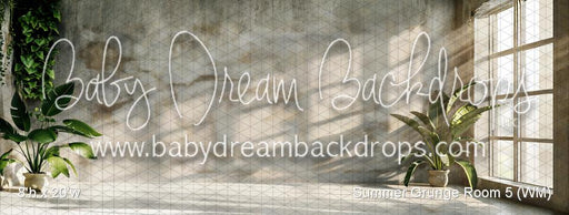 Summer Grunge Room 5 (WM)