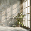 Summer Grunge Room 5 (WM)