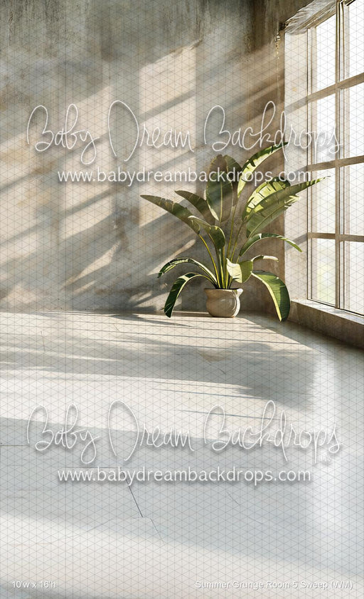 Summer Grunge Room 5 Sweep (WM)