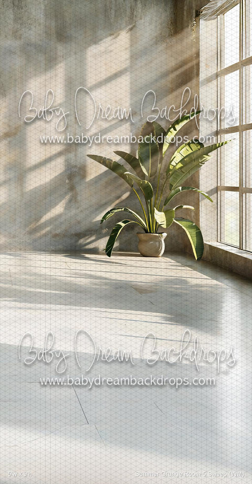 Summer Grunge Room 5 Sweep (WM)