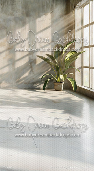 X Drop Summer Grunge Room 5 Sweep (WM)