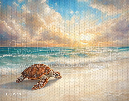 Summer Shores (CM)