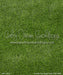 Summer Sun Grass Fabric Floor (WM)