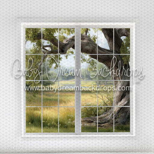 Summer Window (VR)