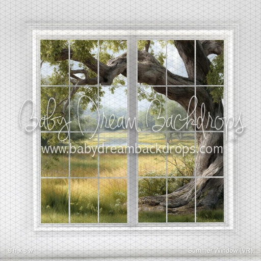 Summer Window (VR)