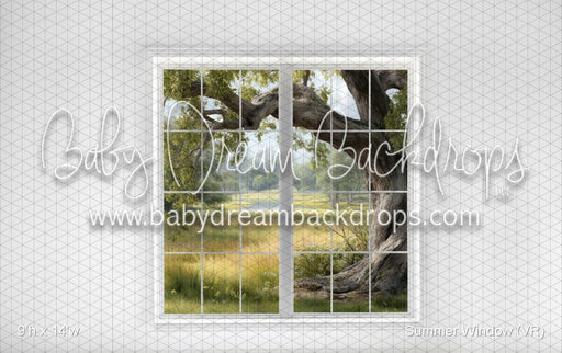 Summer Window (VR)