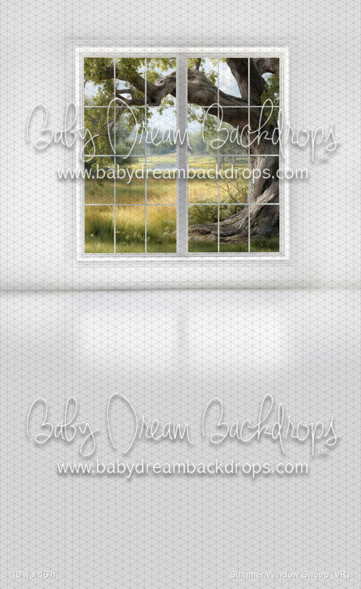 Summer Window Sweep (VR)