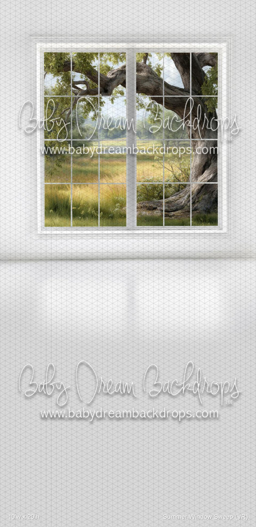 Summer Window Sweep (VR)