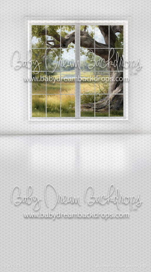 Summer Window Sweep (VR)