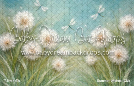 Summer Wishes (CM)