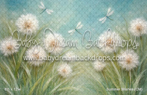 Summer Wishes (CM)