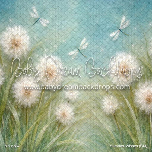 Summer Wishes (CM)