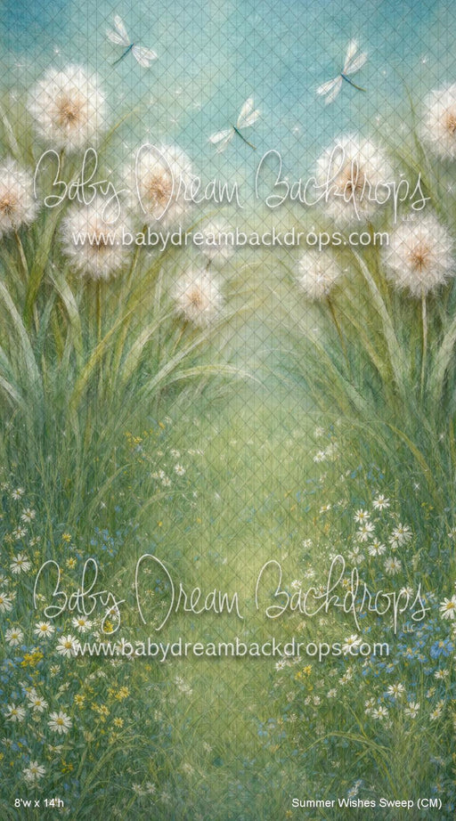 Summer Wishes Sweep (CM)