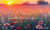 Summers Bounty (BM)