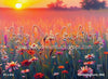 Summers Bounty (BM)