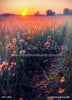 Summers Bounty (BM)
