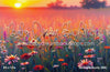 Summers Bounty (BM)