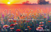 Summers Bounty (BM)
