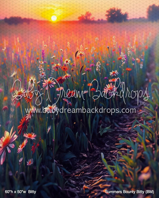 Summers Bounty Bitty (BM)