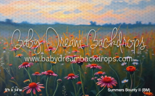 Summers Bounty II (BM)