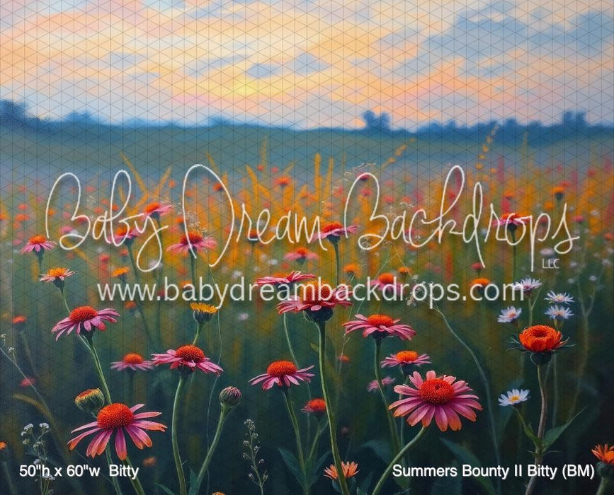 Summers Bounty II Bitty (BM)