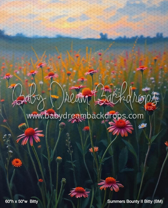 Summers Bounty II Bitty (BM)