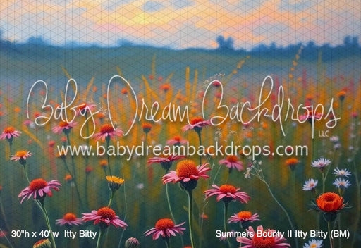 Summers Bounty II Itty Bitty (BM)