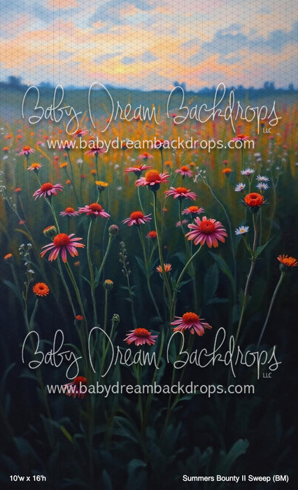 Summers Bounty II Sweep (BM)