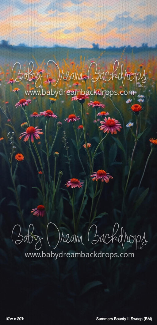 Summers Bounty II Sweep (BM)