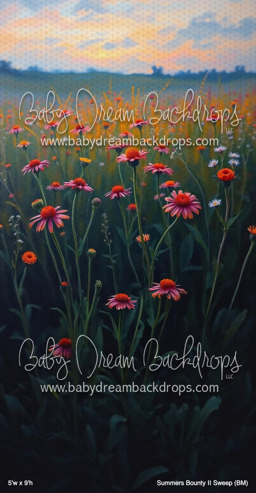 Summers Bounty II Sweep (BM)