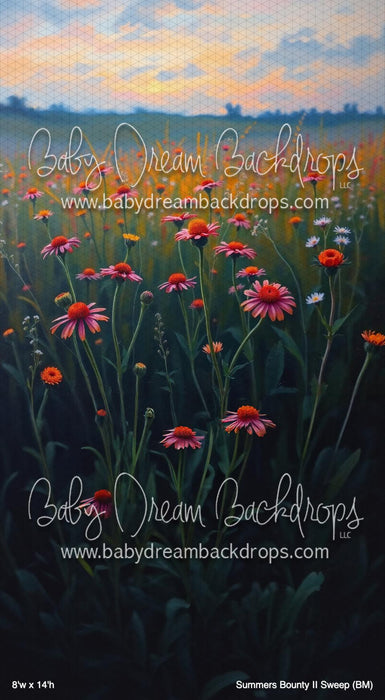 Summers Bounty II Sweep (BM)