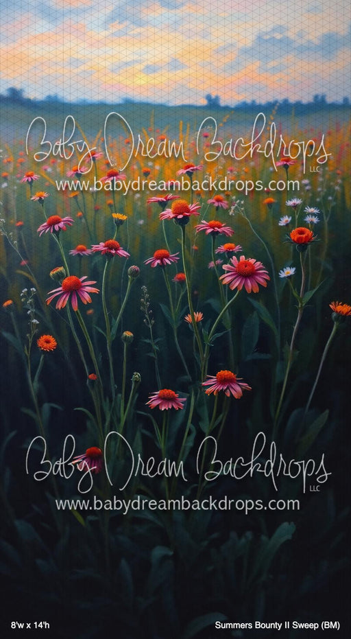 Summers Bounty II Sweep (BM)