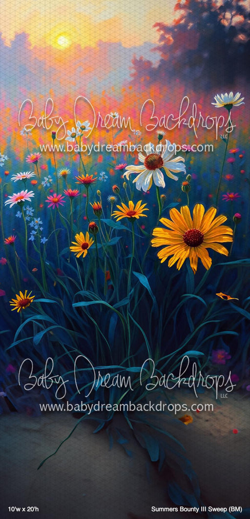 Summers Bounty III Sweep (BM)