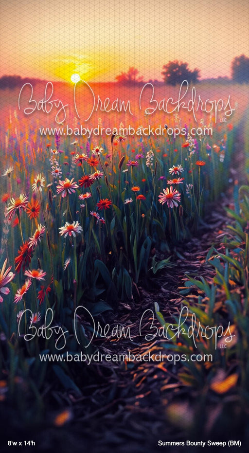 Summers Bounty Sweep (BM)