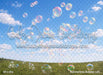 Summertime Bubbles (JA)
