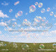 Summertime Bubbles (JA)