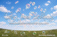 Summertime Bubbles (JA)