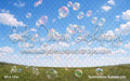 Summertime Bubbles (JA)