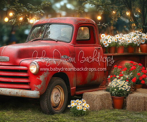 Summertime Red Ride (JA)