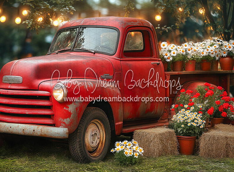 Summertime Red Ride (JA)