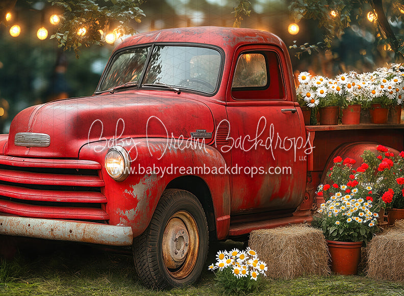 Summertime Red Ride (JA)