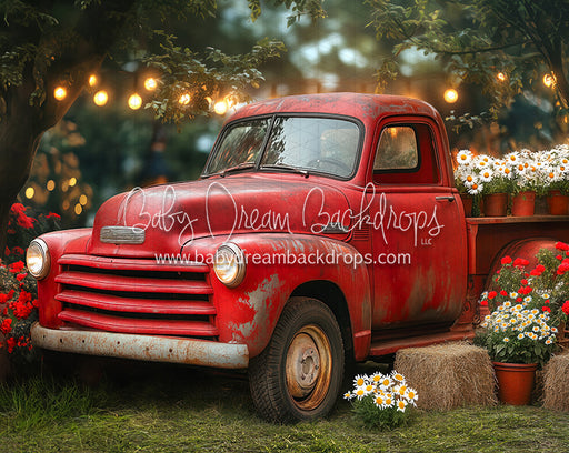 Summertime Red Ride (JA)