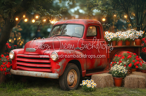 Summertime Red Ride (JA)